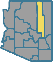 Navajo County